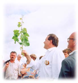 搾ったまんまのぶどうジュース