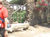 ポンペイの遺跡の中に畑が！