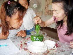 フレッシュハーブティー