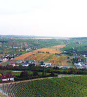 サンセールの丘