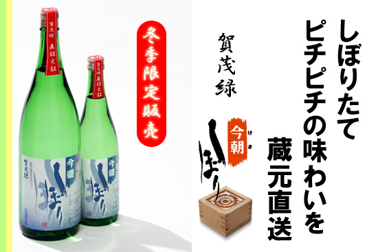 賀茂緑 今朝しぼり