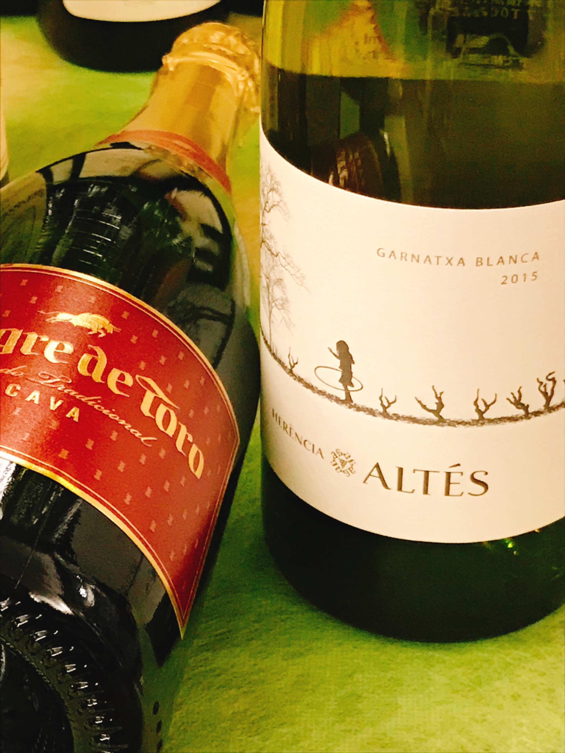 トーレス エレンシア アルテス 他5種 入荷 ワインショップしんじ